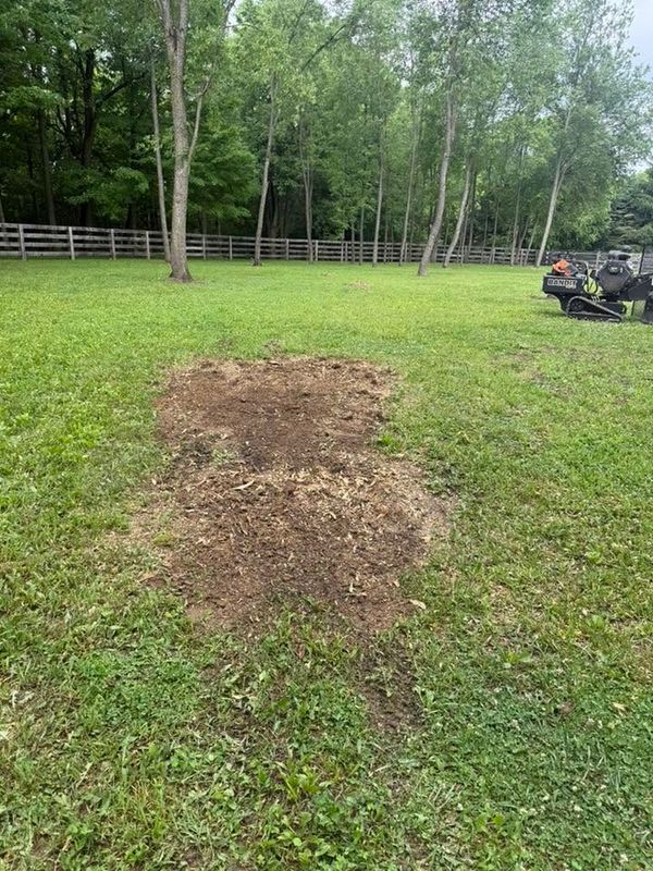 Stump Grinding