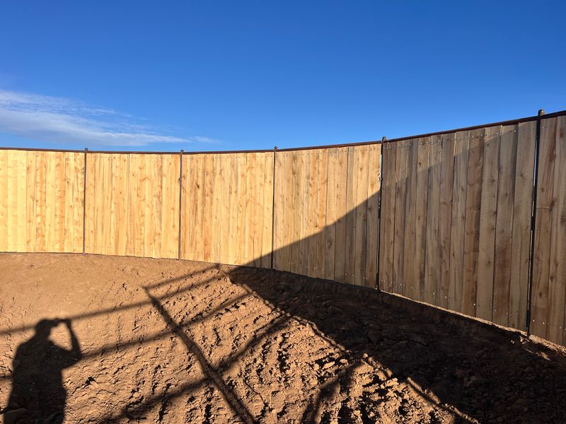 Pine Picket Fences