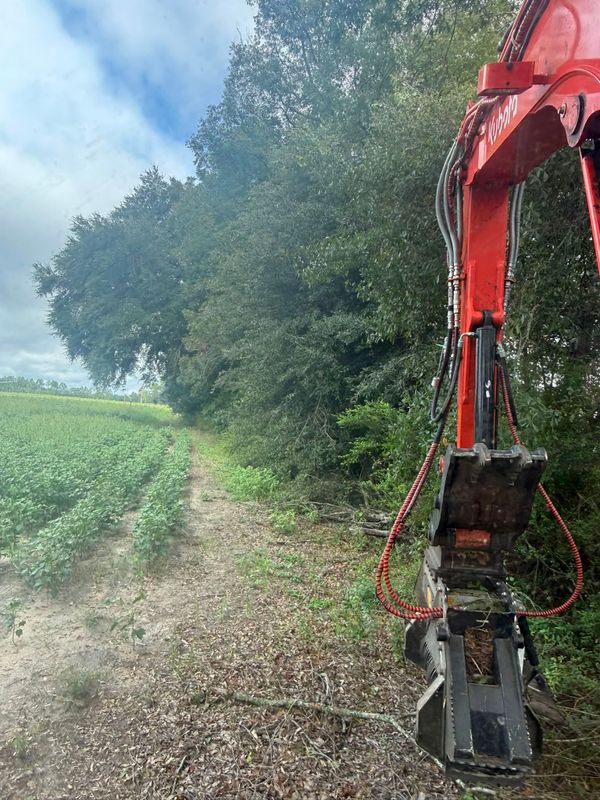 Land Clearing