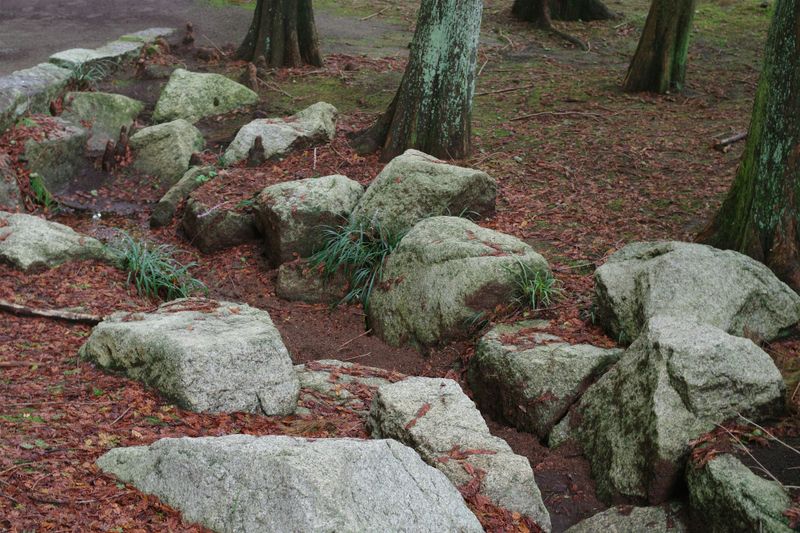 Rockbed Installation