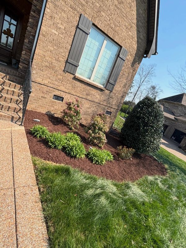 Landscape Design
