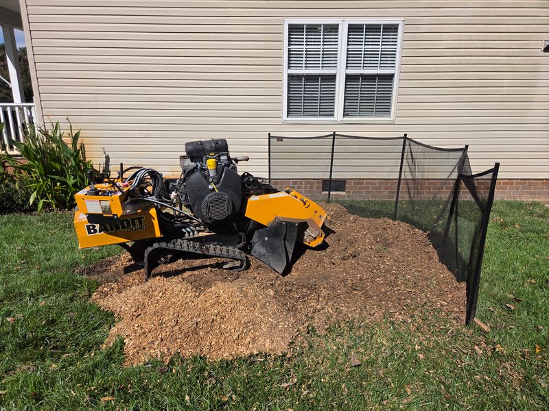 Stump Grinding