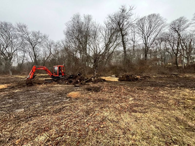 Land Clearing