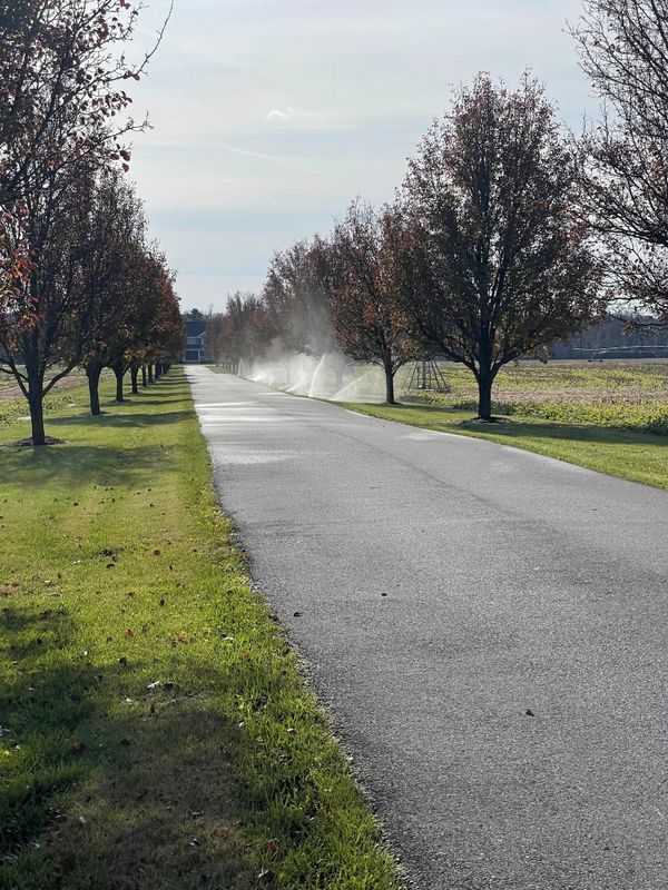 Irrigation System Design & Install