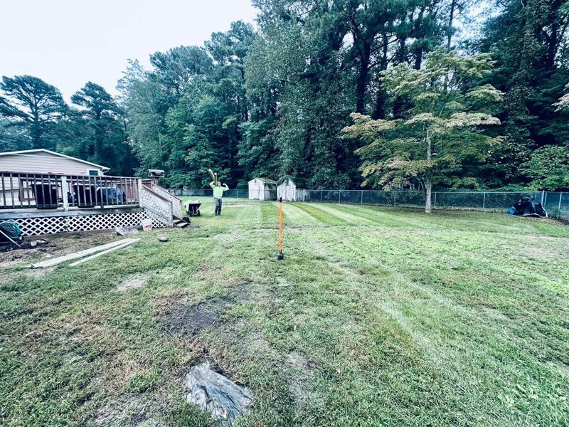 Spring and Fall Clean Up