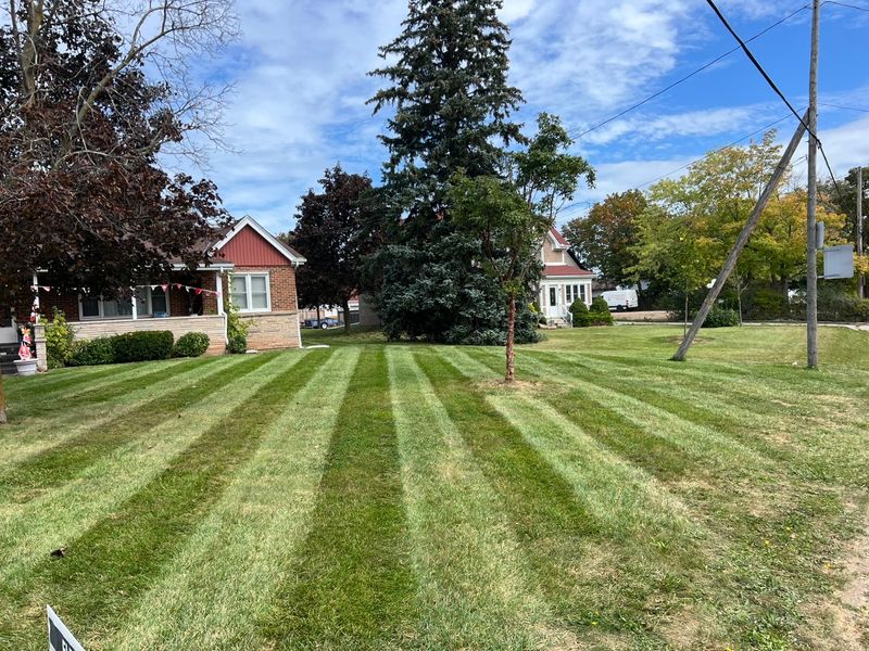 Lawn Care