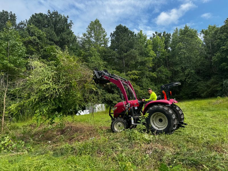 River Bank Clearing  gallery