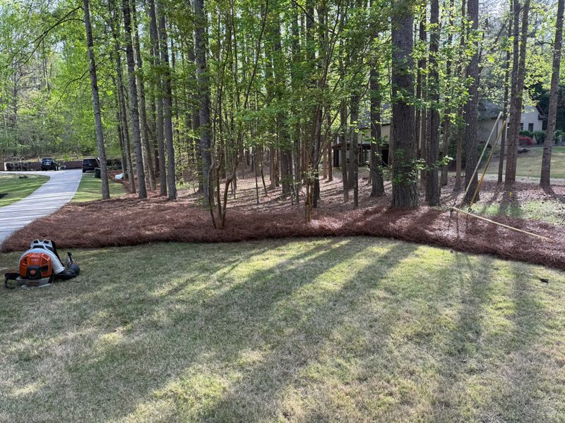 Brush Trimming