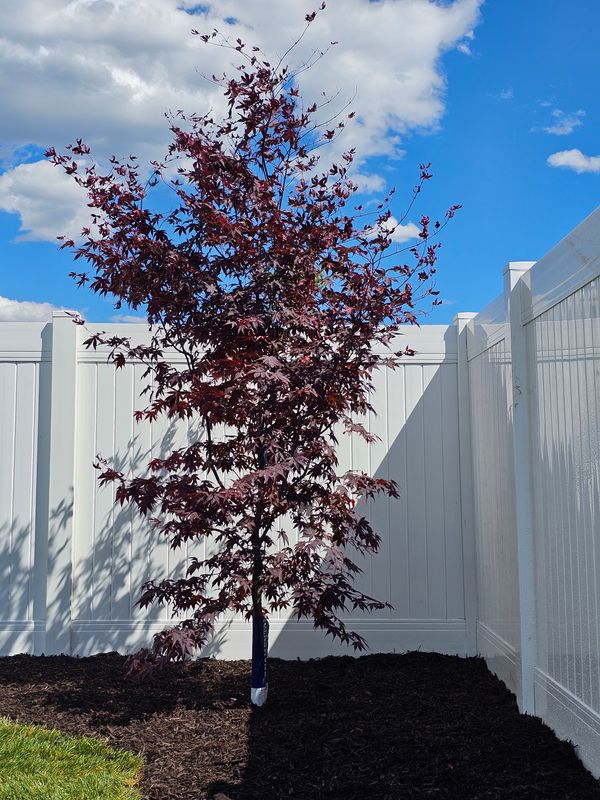 Residential Landscaping