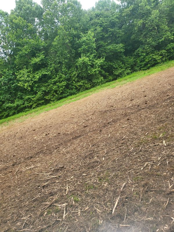 Land Clearing