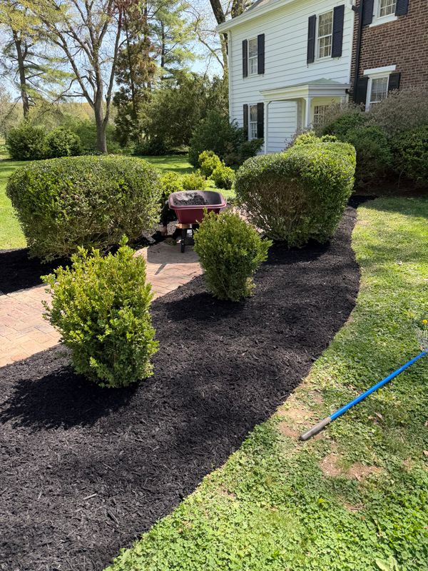 Garden Design & Landscaping