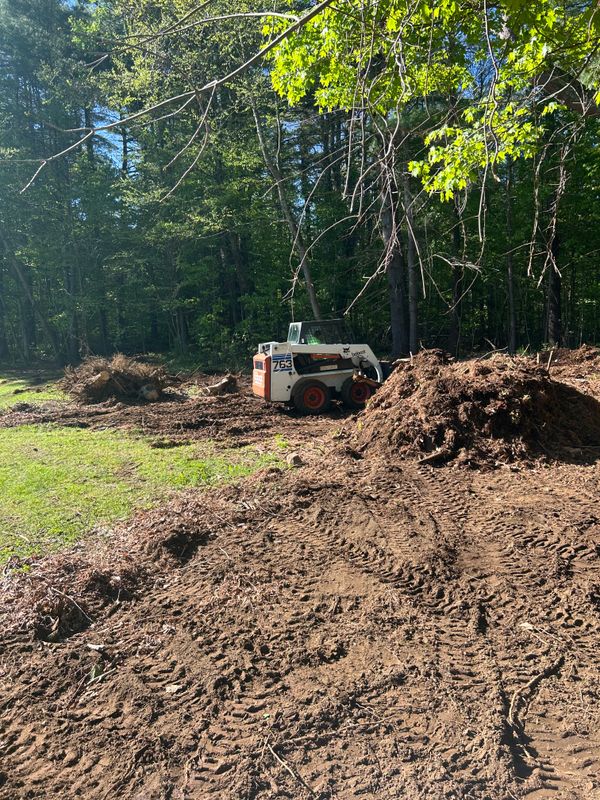Land Clearing
