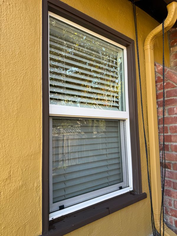 Windows