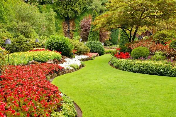 Landscape Design and Installation