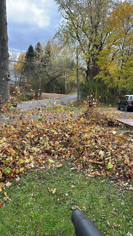 Leaf Removal gallery