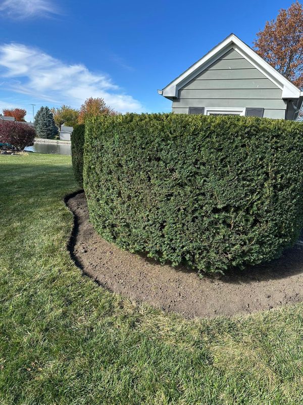 Landscape design