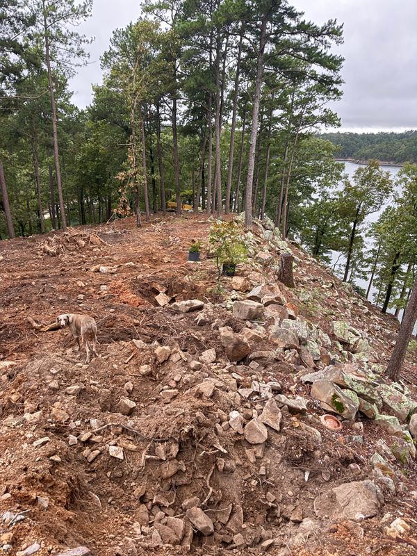 Land Clearing & Demolition