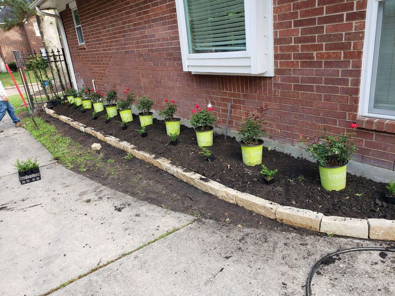 Landscaping