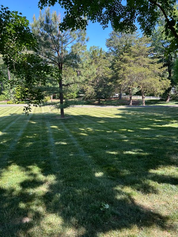 Lawn Mowing