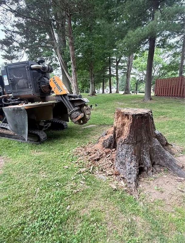 Stump Grinding