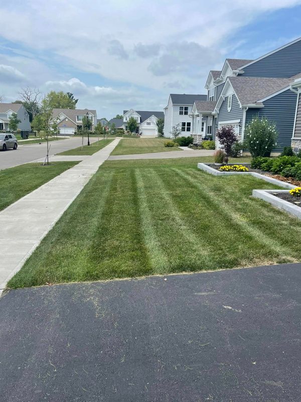 Commercial Lawn Maintenance