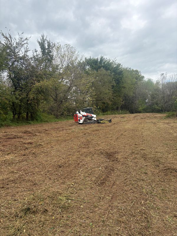 Land Clearing