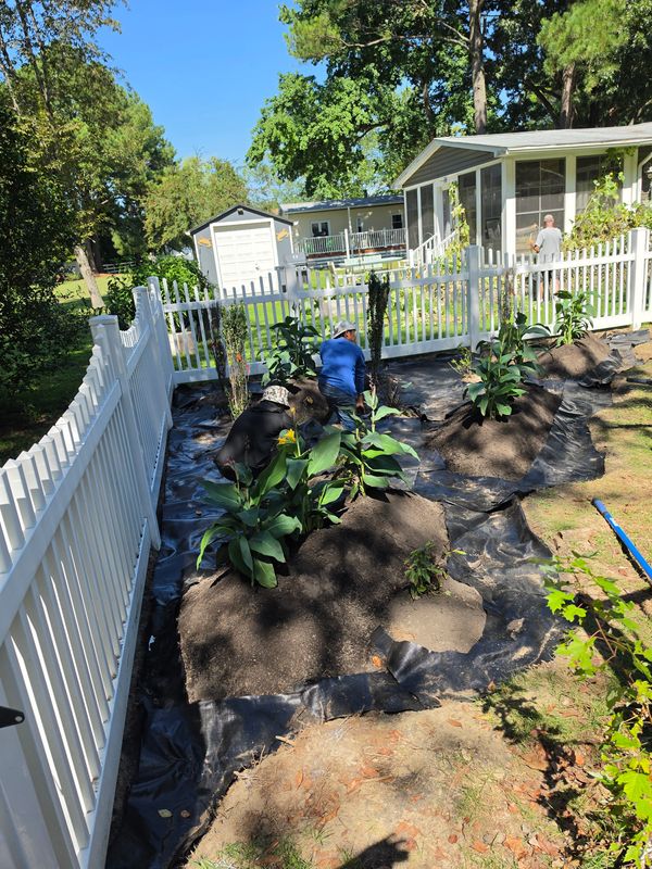 Landscape Design