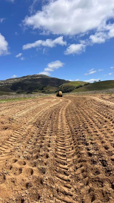 Land Clearing