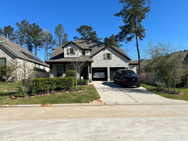 Tree & Shrub Care