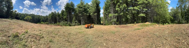 Land Clearing