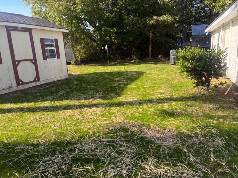 Lawn Aeration and Seeding