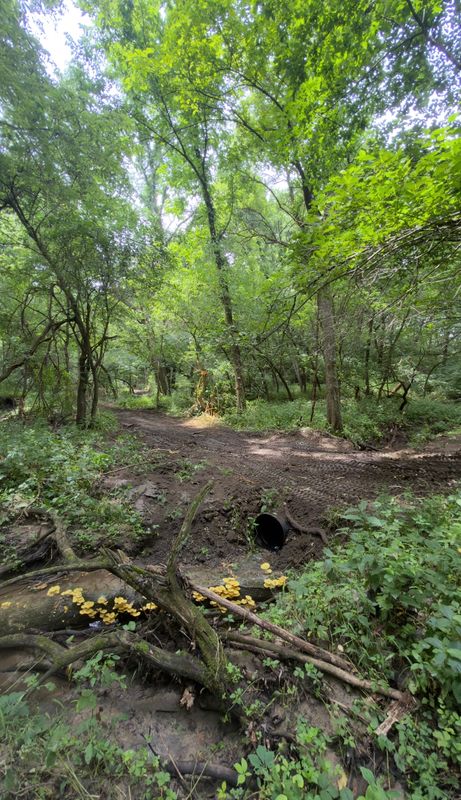 Timber Mulching & Clearing