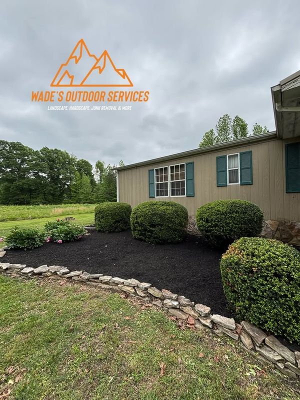 Tree & Shrub Care