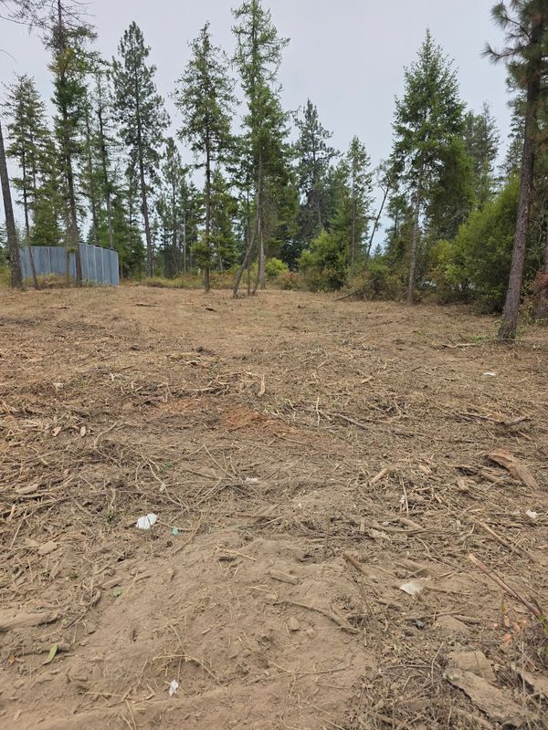 Land Clearing