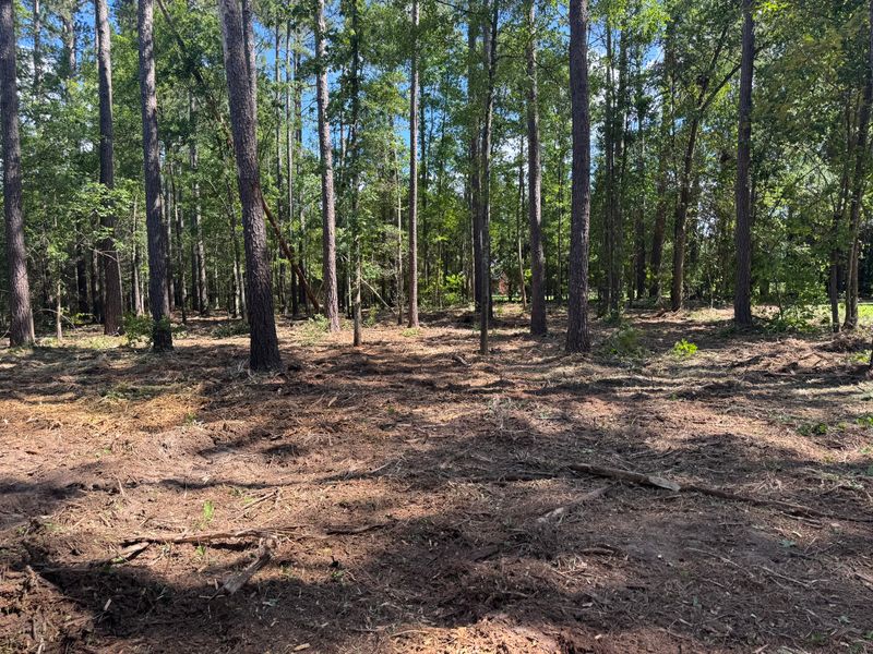 Forestry Mulching