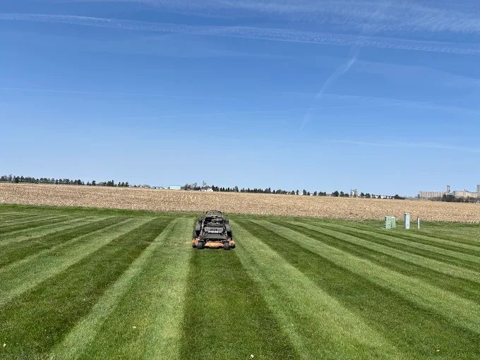 Lawn Maintenance