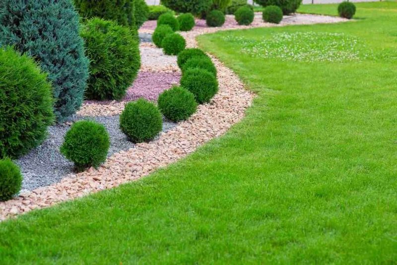 Lawn Maintenance