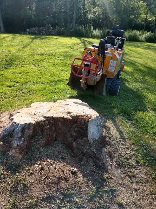 Stump Removal