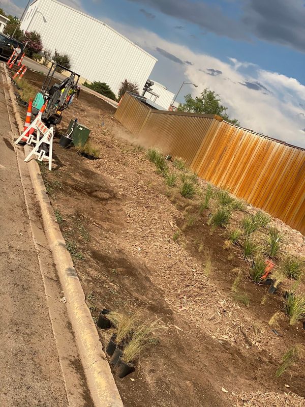 Lawn Installation And Maintenance
