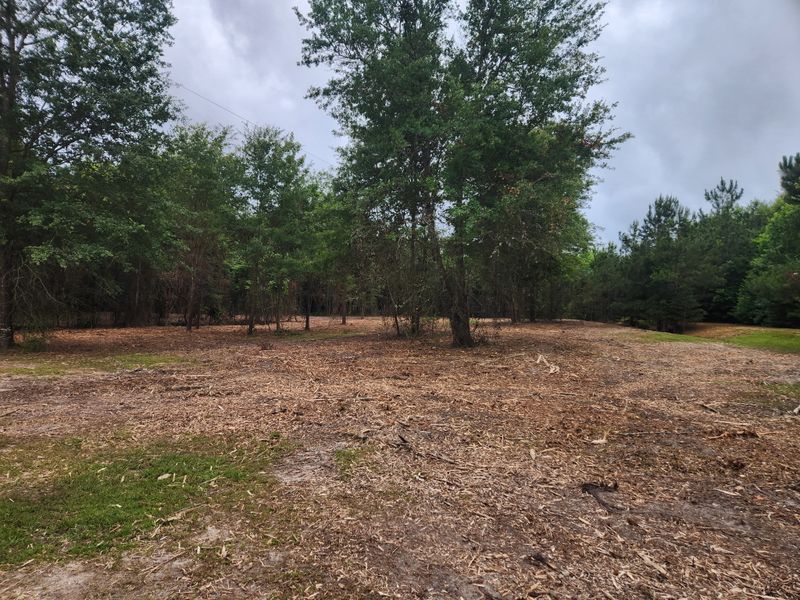 Forestry Mulching