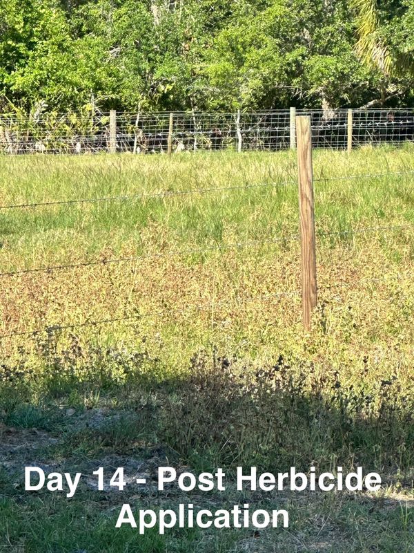 Custom Herbicide Treatments