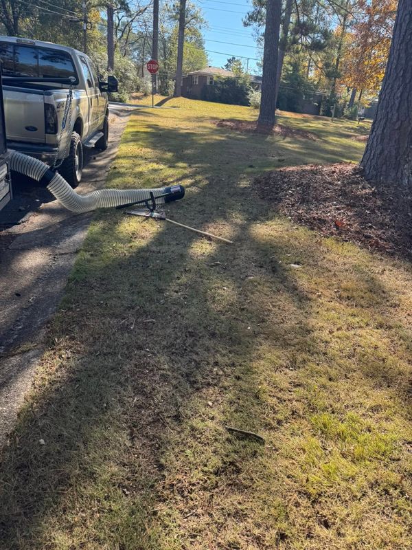 Tree and Shrub Care