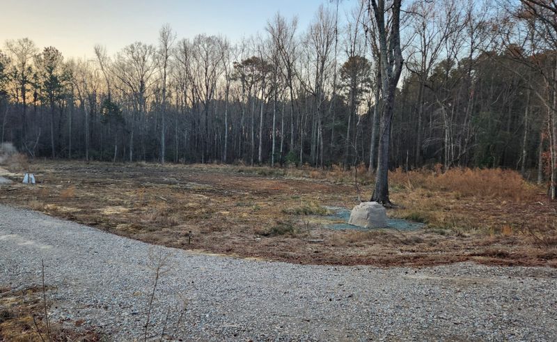 Stump Removal