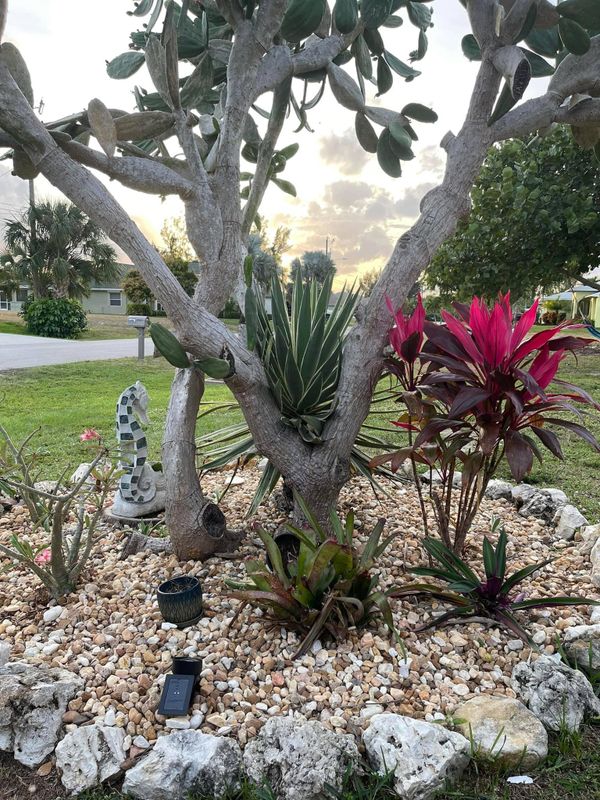 Landscaping