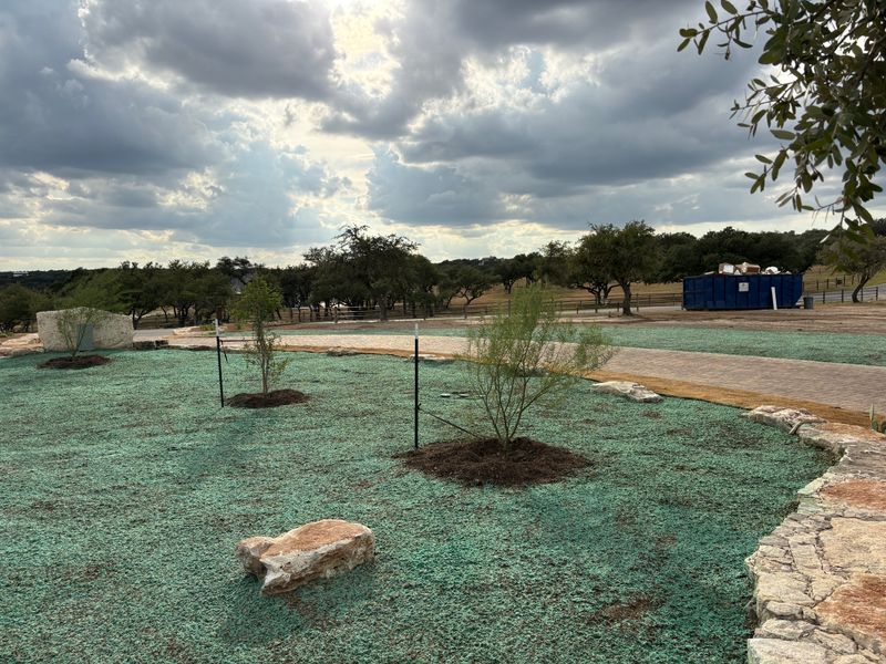 Hydroseeding