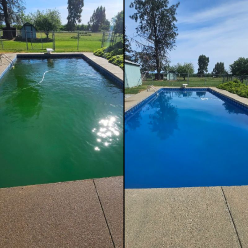 Algae Removal Success Stories