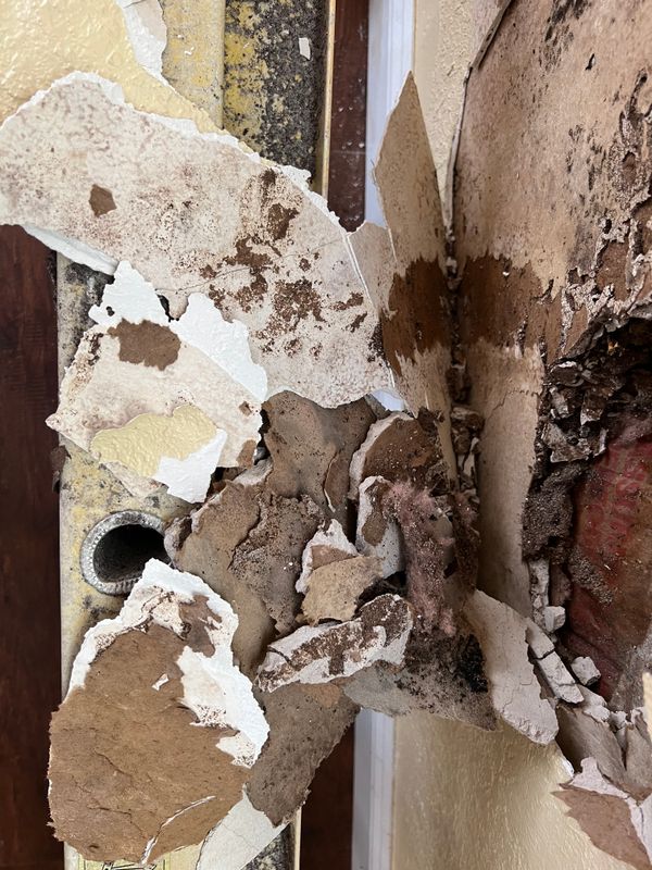Mold Remediation