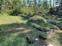 Land clearing/ Lot clearing