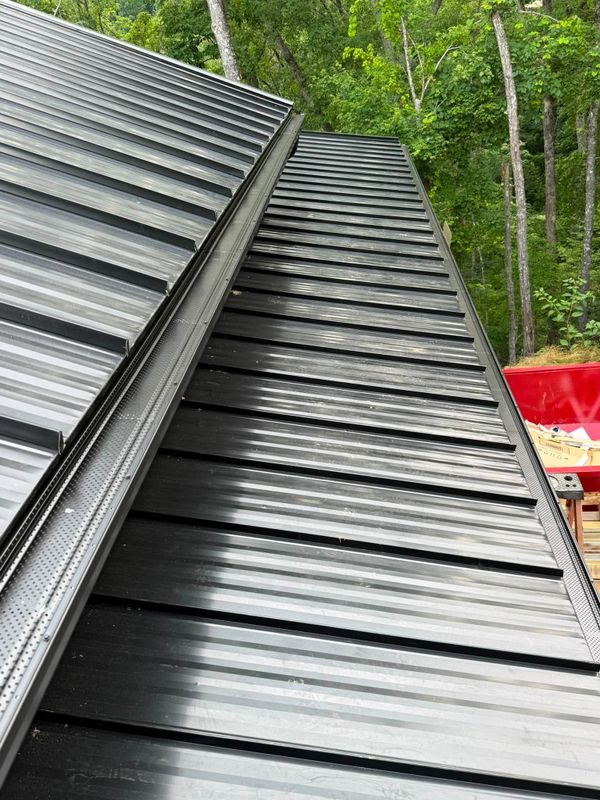 Gutter Cleaning