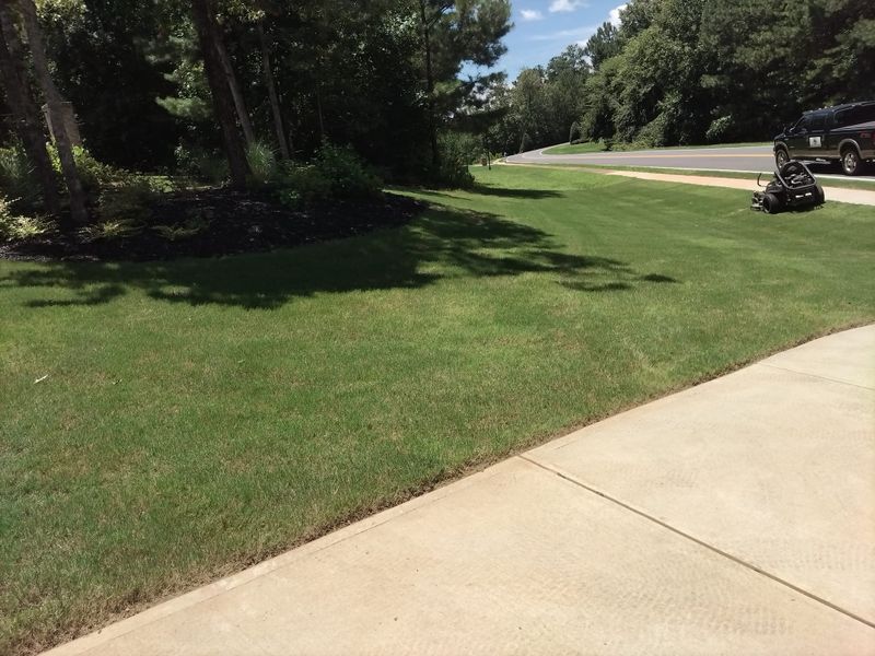 Landscaping